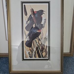 Red-Winged Blackbirds By Carl Brenders